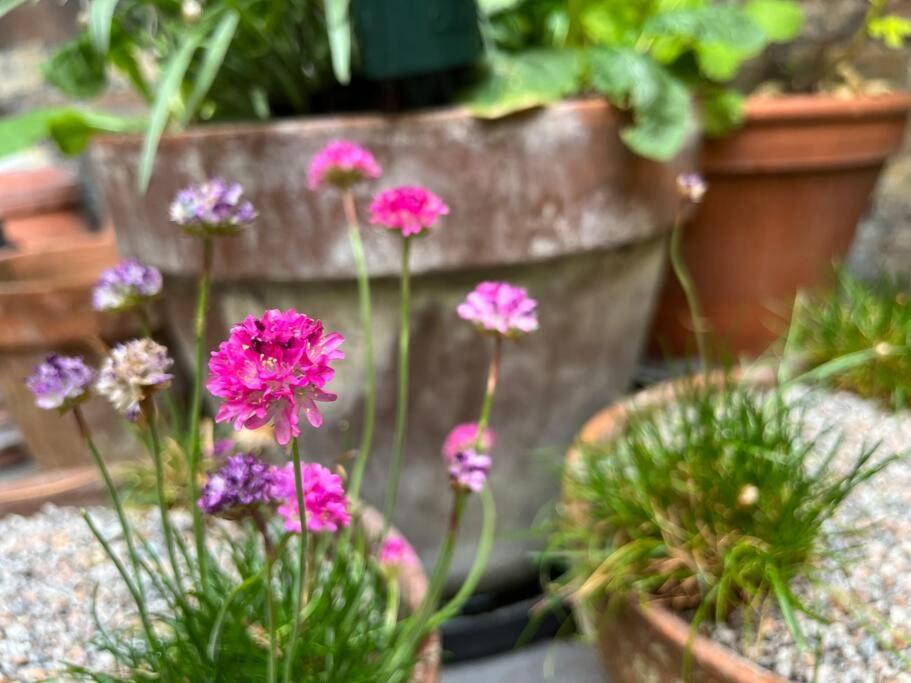 Kings Cross, Self-Contained House & Private Garden Villa London Eksteriør billede