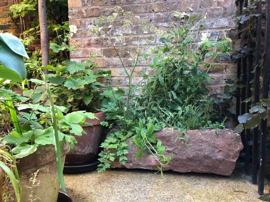 Kings Cross, Self-Contained House & Private Garden Villa London Eksteriør billede