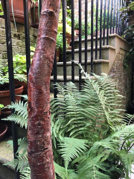 Kings Cross, Self-Contained House & Private Garden Villa London Eksteriør billede